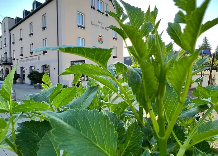 4 Sterne Hotel & Restaurant Haunstetter Hof Augsburg Hotell