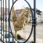 Szálloda 4 Sterne Hotel & Restaurant Haunstetter Hof Augsburg 4*