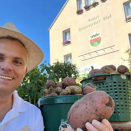 Hotell Haunstetter Hof 4*