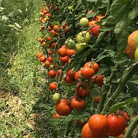 Haunstetter Hof Hotell