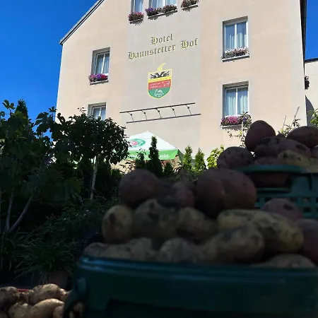 4 Sterne & Restaurant Haunstetter Hof Hotell 4*