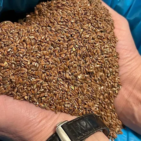 Haunstetter Hof Hotell 4*