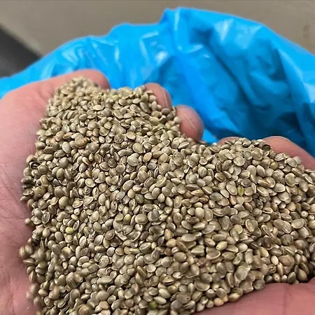 Hotell Haunstetter Hof Augsburg