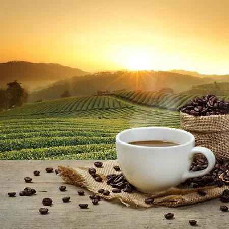 Hotell Haunstetter Hof 4*