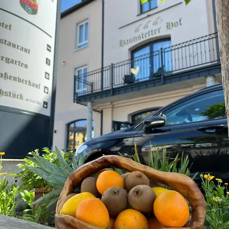 4 Sterne & Restaurant Haunstetter Hof Ξενοδοχείο Aψβούργη
