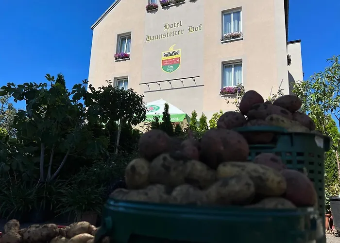 4 Sterne Hotel & Restaurant Haunstetter Hof Augsburg Hotel 4*